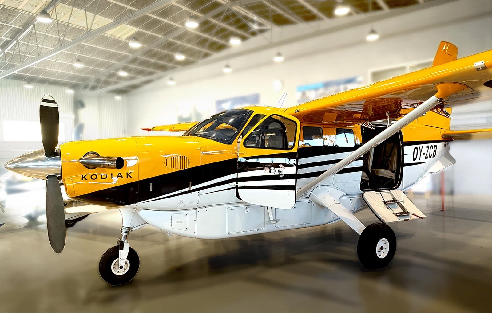 Kodiak aircraft showcasing Focus Aircraft's specialized fleet capabilities