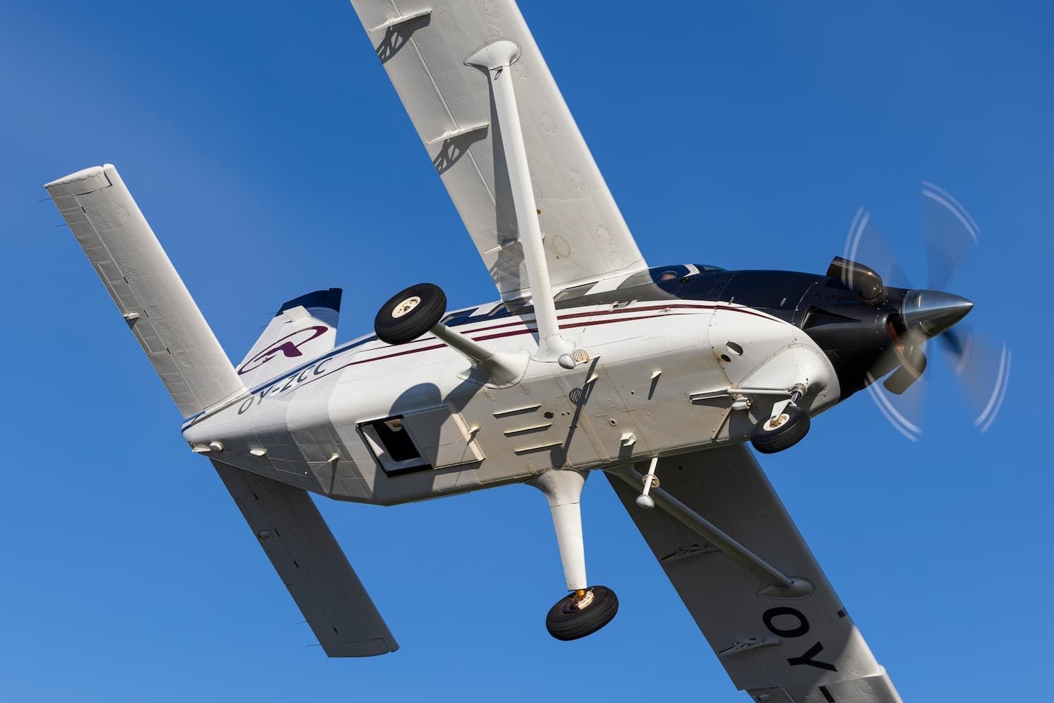 Aircraft maintenance hangar showcasing technical capabilities